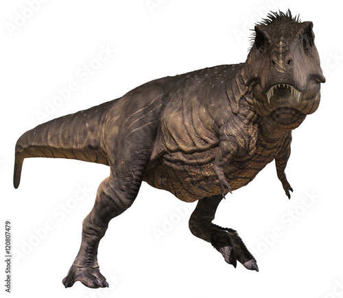 3D rendering of Tyrannosaurus Rex walking, isolated on white background. © Herschel Hoffmeyer