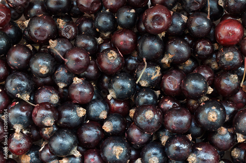 Wallpaper Mural Cherry background/Horizontal close-up of cherry Torontodigital.ca