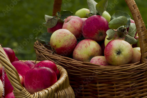 Red apples in wooden wicker basket