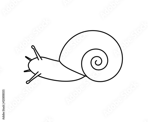 Snail Drawing