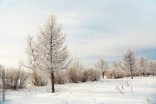 scenic winter landscape © bakharev