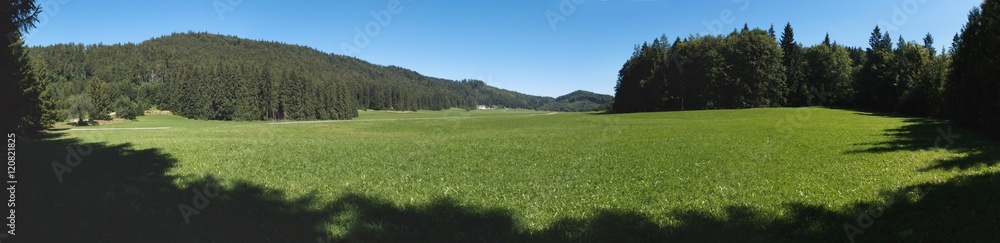 Fototapeta premium Velka Luka pasture in Muranska planina national park in Slovakia