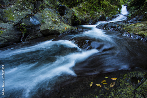 fast running water in a forest of Bali photo