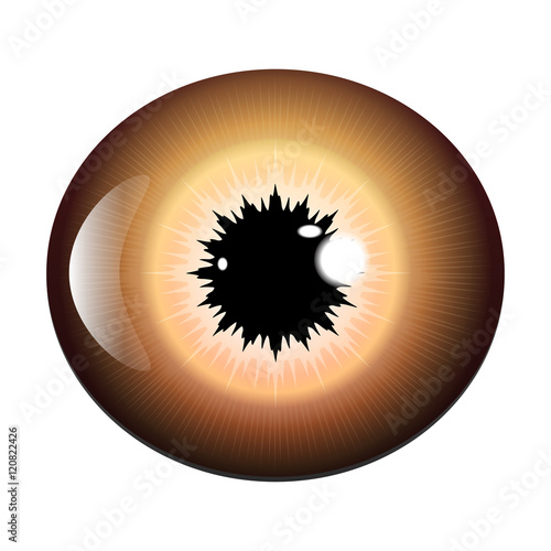 eye, pupil, iris, vector symbol icon design. Beautiful illustrat