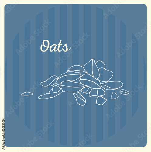 Oats. Vector line illustration. Sketch, doodle. 