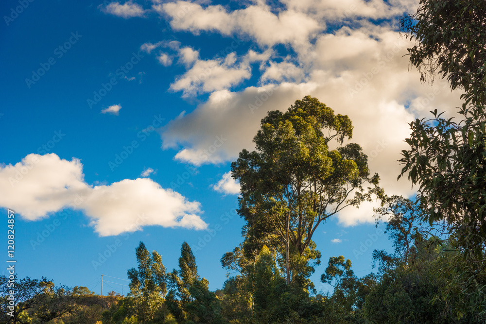 Obraz premium tramonto a quito
