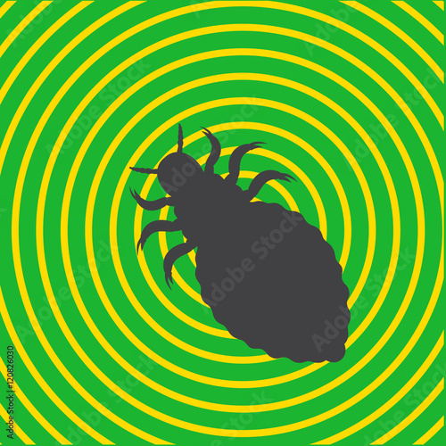 Lice Insect Shape