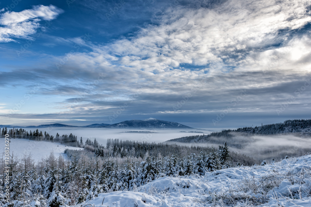 Winter in mountain II
