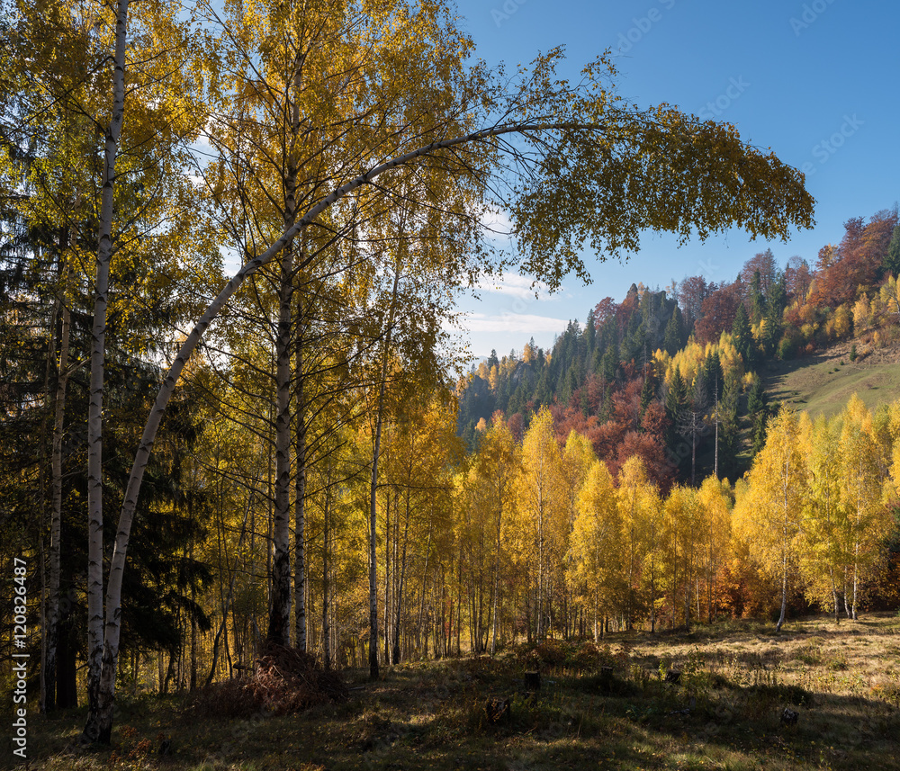 Autumn landscape with deciduous forest in the mountains Autumn landscape with deciduous forest in the mountains