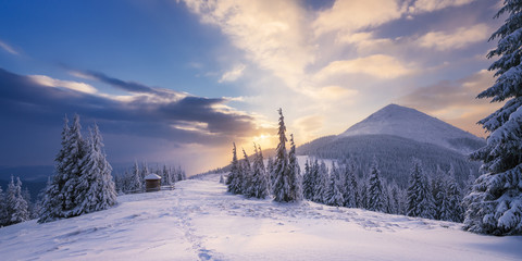 Tableau sur plexiglas Hiver Aube hivernale sur sommets enneigés  © Oleksandr Kotenko