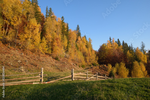 Autumn Landscape with a wooden fence