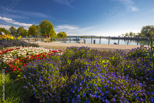 Flowers alond embarkment in the Kreuzlingen city center near Konstanz, Switzerland photo