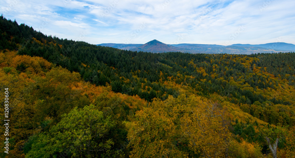 Herbst in den Vogesen