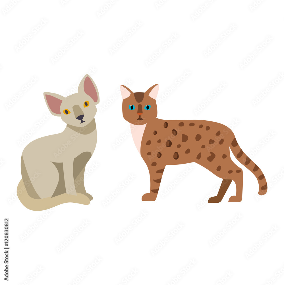 Cat cartoon style vector silhouette. Cute domestic cat animal sitting. Cartoon cat young adorable tail symbol playful. Cartoon funny domestic pussy kitty cat sit character