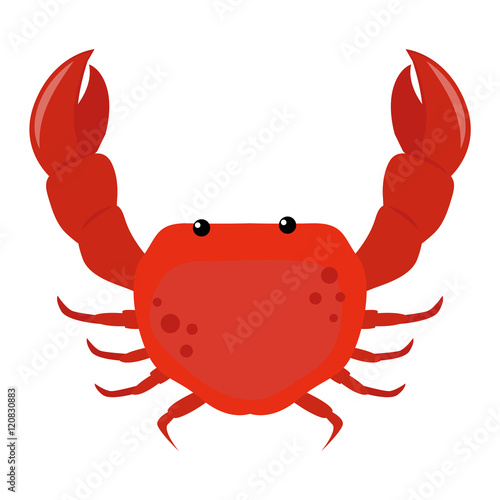 Cartoon crab vector illustration. Red crab isolated on white background vector. Flat red crab marine seafood character.