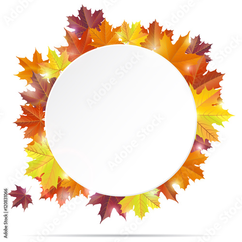 White round paper banner with vivid autumn maple leaves. Vector illustration.