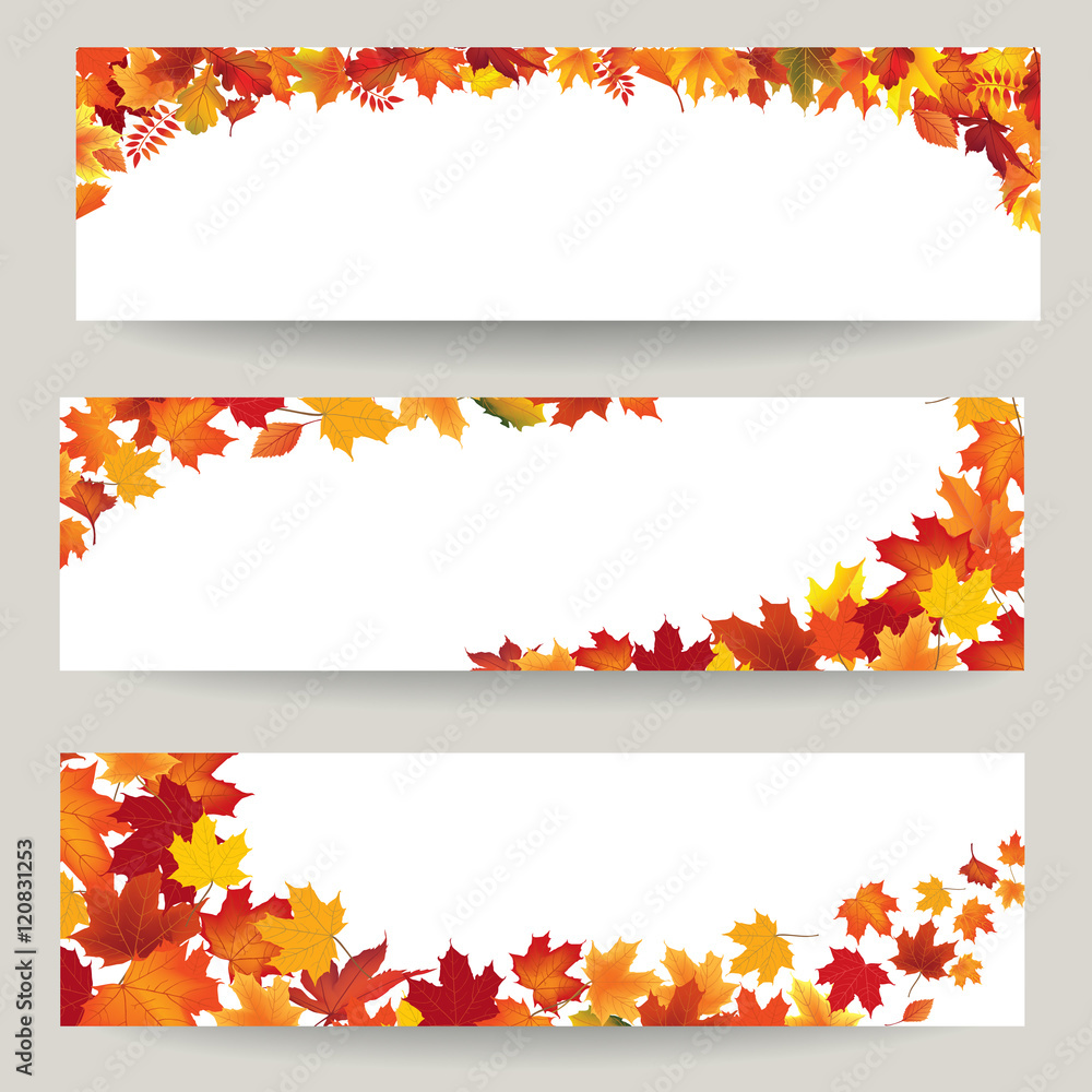 Fototapeta premium Fall leaves banner set. Swirl autumn leaf background. Nature border decor collection