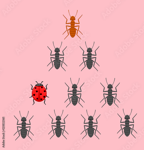 Ladybug in Ants Team