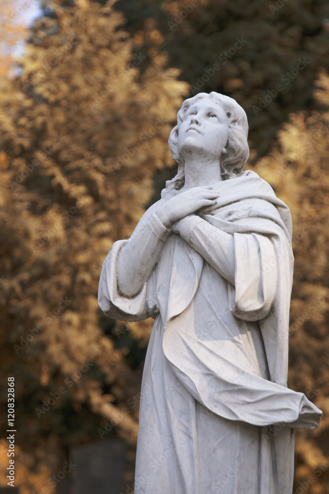 Statue Of Virgin Mary