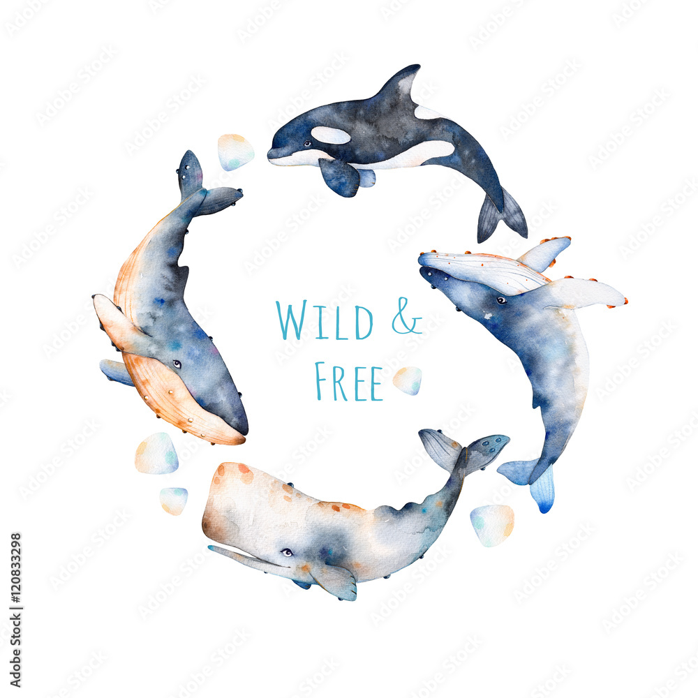 Fototapeta premium Watercolor handpainted pre-made template card with text.Wreath on white background with blue whale, fin whale and sperm whale.Beautiful illustration,perfect for your project,template card,invitations