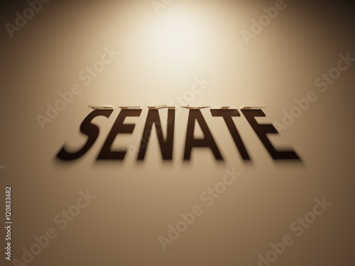 3D Rendering of a Shadow Text that reads Senate