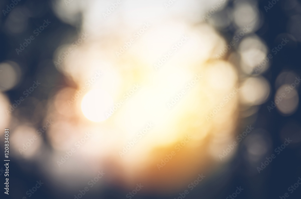 abstract beautiful blurred nature background with sunlight abstract beautiful blurred nature background with sunlight