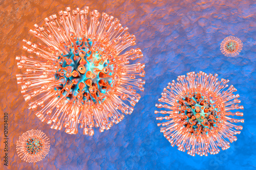 Herpes Viruses photo