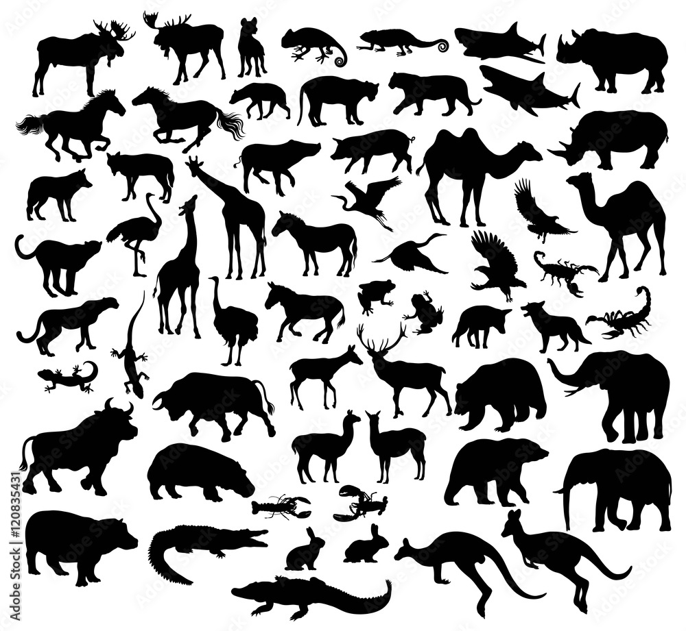Various Silhouettes of Wild Animals and livestock, art vector design