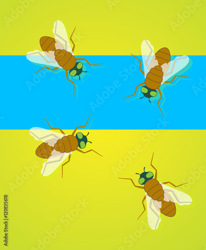Flies Vector © VectorShots