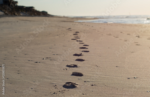 Obraz na płótnie A trail of footprints on a North Carolina beach fade into view with houses and the ocean shore in the distance. w salonie