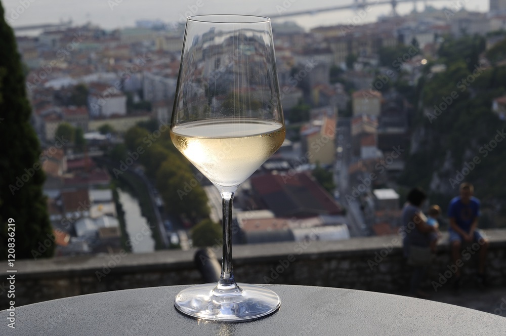 Obraz premium glass of wine