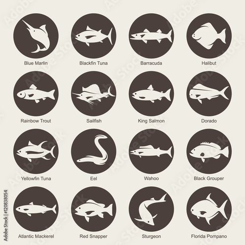 Fish icon set