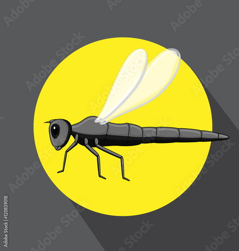 Dragonfly Insect Flying
