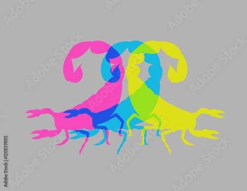 Colorful Scorpion Shapes