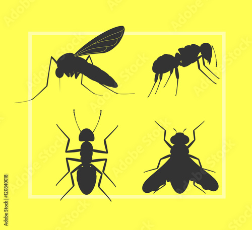 Mosquito, Fly and Ant Silhouettes © VectorShots