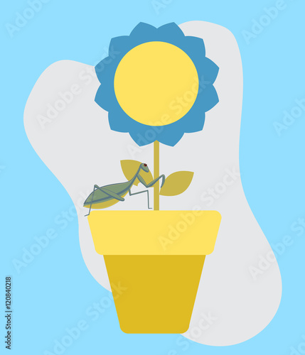 Insect on Flower Vector