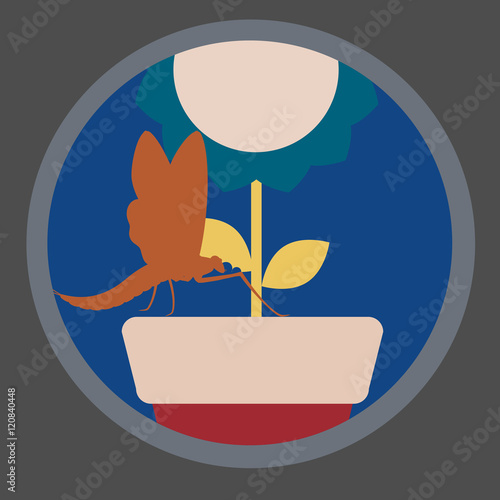 Mayfly Insect Sitting on Flower Pot
