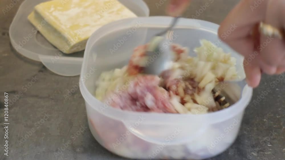 Mixing pork and onion for making stuffing of dumplings, stock video Mixing pork and onion for making stuffing of dumplings, stock video