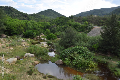 nature dry stream and mountain forest
