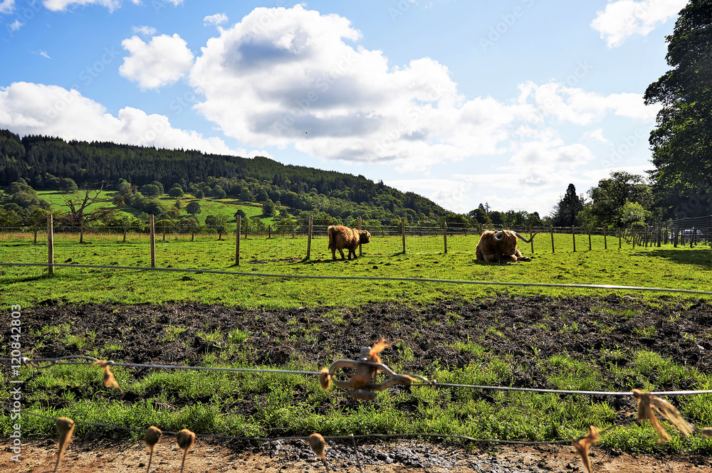 Obraz premium landscapes and villages of the highlands, Scotland