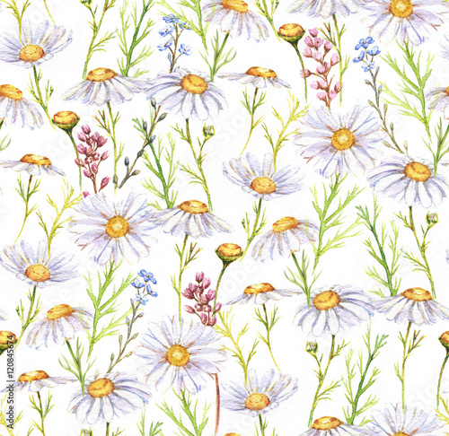 Hand-drawn seamless watercolor pattern with meadow chamomiles flowers. Tender floral repeated print for wallpapers  textile etc. Summer field blossom  wild daisies and different meadow plants.