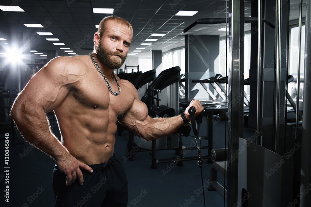 Muscular athletic bodybuilder fitness model Muscular athletic bodybuilder fitness model