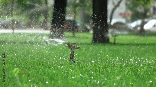 Sprinkler irrigation in park photo