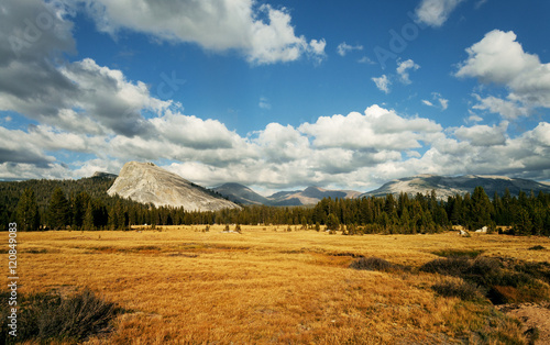 Tuolumne Meadow, Yosemite National Park, California