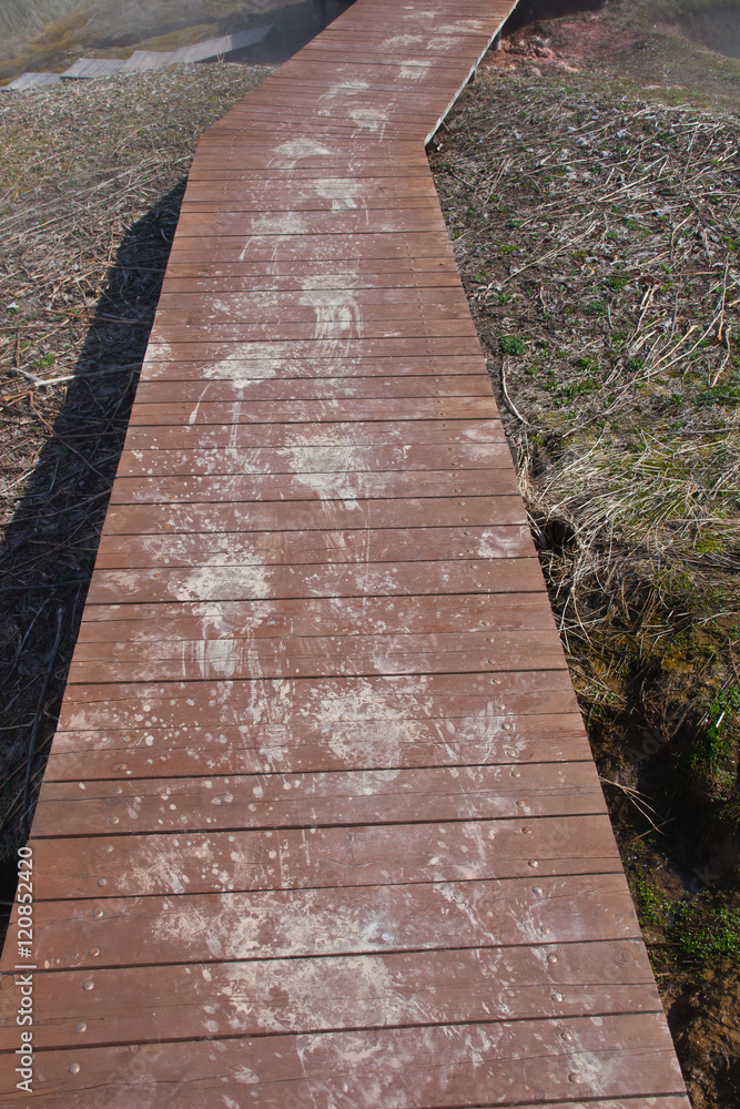 Traces of brown bear on a foot path in the Valley of the Geysers