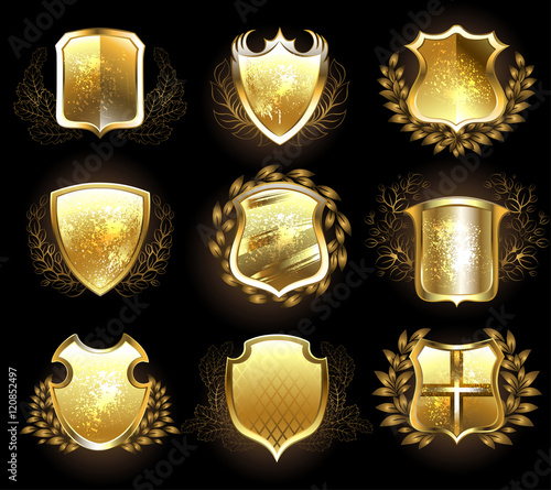 Set of Golden Shields