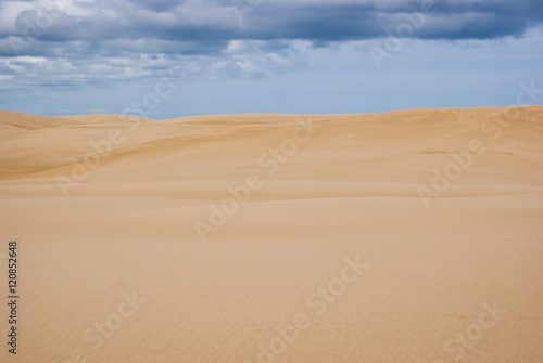 Huge sand dunes at North island, New Zealand