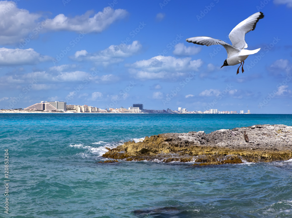 Rocky coast, seagull over the sea and city in the distance Rocky coast, seagull over the sea and city in the distance