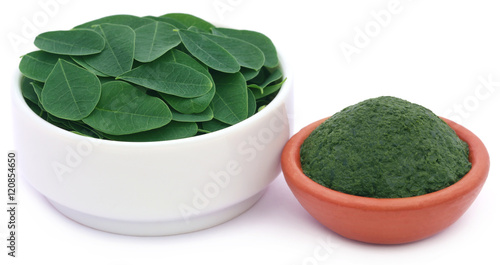 Edible moringa leaves with ground paste photo