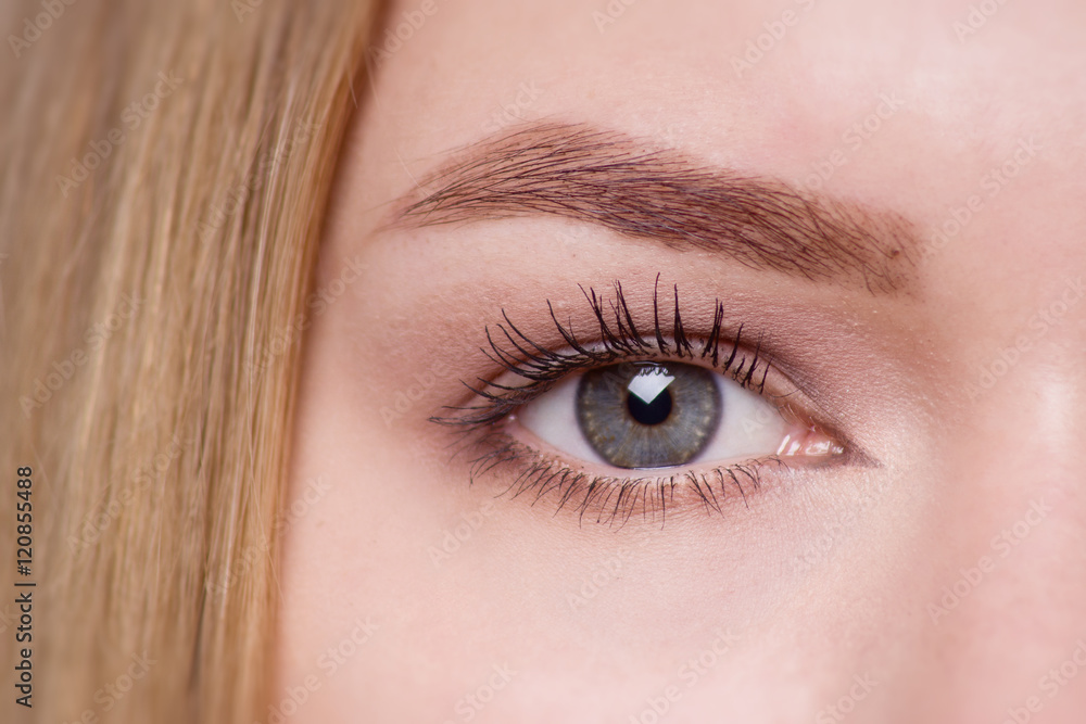 Obraz premium Macro image of woman's eye.